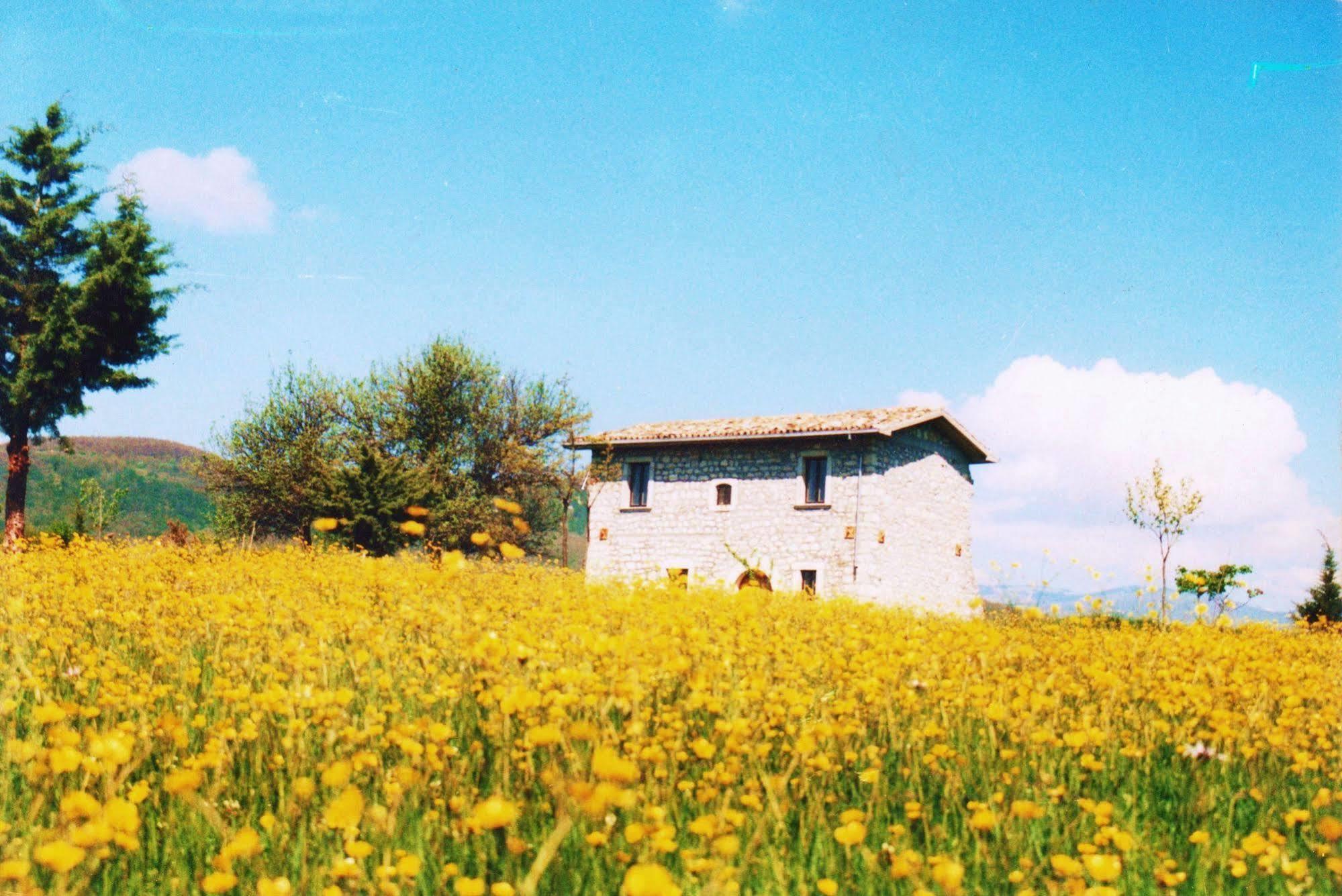 Casino Tonti Iarussi Villa Forlì del Sannio Exterior foto